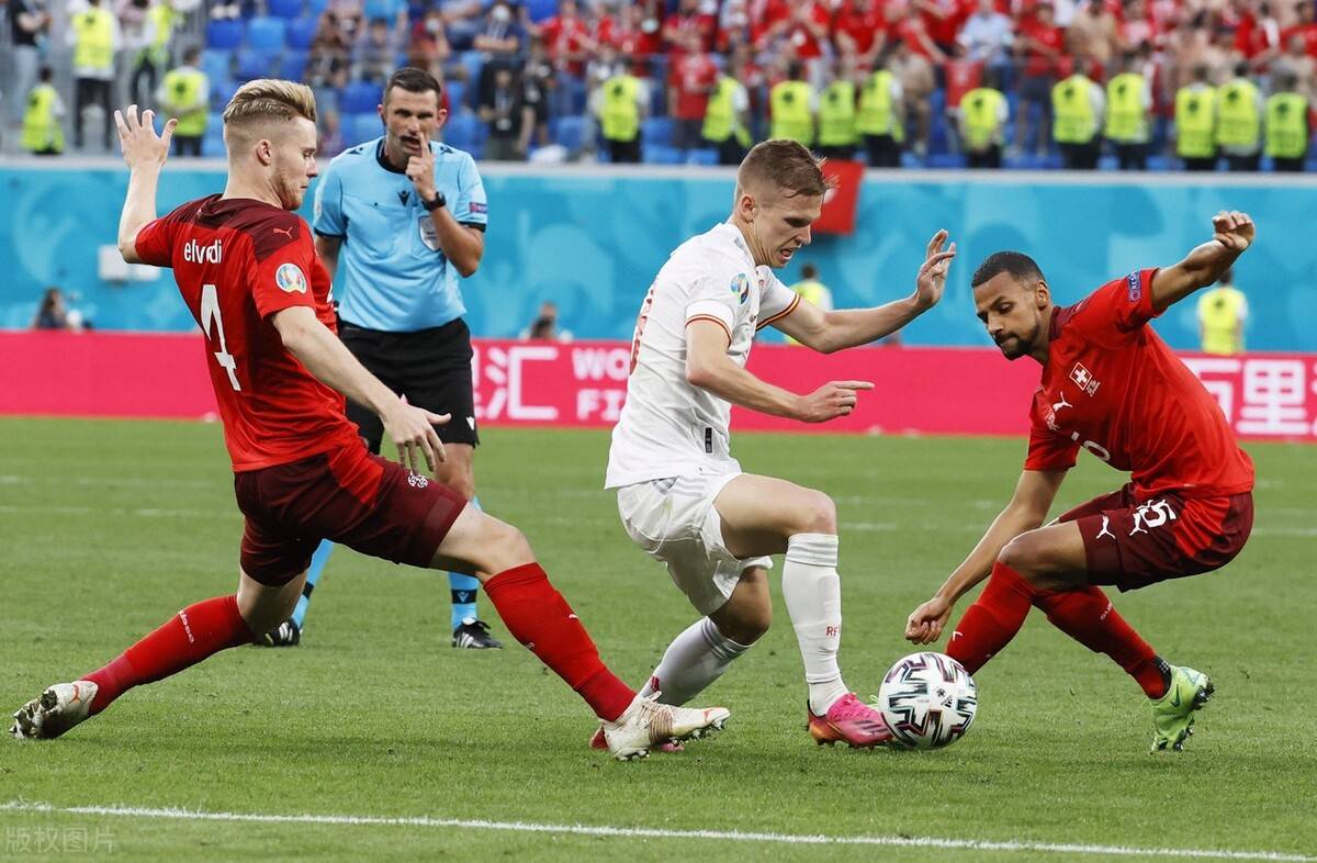 网页版入口-瑞士队战绩